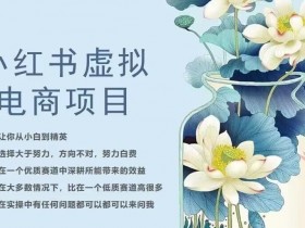 小红书虚拟课程项目的变现技巧，附详细运营SOP