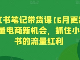 短剧项目如何高效推广，小红书无脑搬运玩法拆解