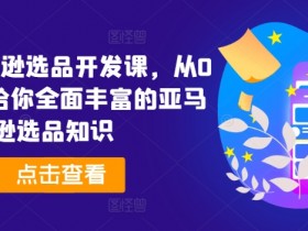 亚马逊跨境电商最新玩法，从选品到推广的全攻略