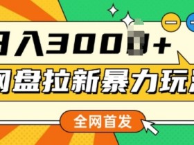 夸克拉新网盘数据查看方法,如何查看并管理夸克拉新网盘的数据