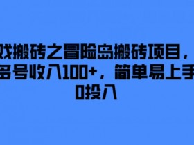 游戏搬砖项目探店,探访成功游戏搬砖项目的商店与操作技巧