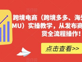 迪拜跨境电商支付问题如何解决，解决迪拜电商跨境支付难题