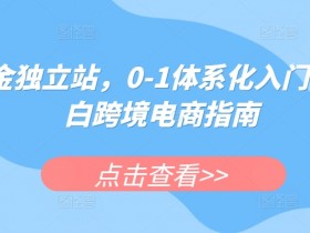 迪拜跨境电商支付问题如何解决，解决迪拜电商跨境支付难题