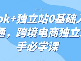 迪拜跨境电商市场分析如何提高竞争力,提高迪拜电商竞争力的最佳方法