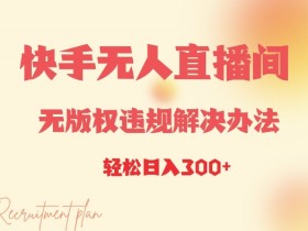 虚拟直播间的收入管理与优化,如何管理并优化虚拟直播间的收入来源