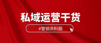 个人IP变现的成功案例分享，看别人如何通过IP实现月入百万