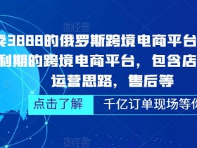 迪拜跨境电商行业报告如何利用，迪拜跨境电商行业报告与市场数据