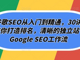 Googleseo优化有哪些常见误区?,避免Googleseo优化中的常见错误和陷阱