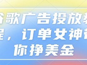 谷歌搜索广告投放方案设计的关键点,谷歌广告投放方案设计的核心要素与方法