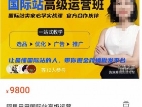 国际站运营是否有提成，国际站运营员的提成机制解析