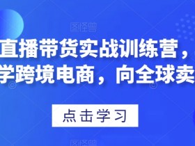 迪拜跨境电商市场分析如何提高竞争力,提高迪拜电商竞争力的最佳方法