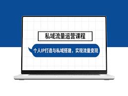 从普通学生到IP操盘手年入百万的可复制经验分享，跟随我的步伐成为IP操盘手