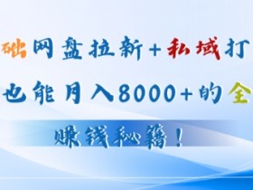 夸克拉新推广渠道，通过哪些渠道进行夸克拉新推广最有效