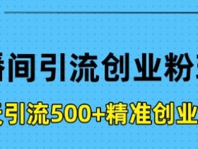 如何快速掌握虚拟直播间操作技巧，虚拟直播间操作的快速上手指南