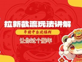 夸克拉新网盘数据查看方法,如何查看并管理夸克拉新网盘的数据