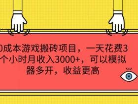 游戏搬砖项目的市场分析，如何通过市场分析确定最佳的游戏搬砖项目
