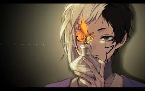 石纪元第三季大结局完整版，观看第三季高潮时刻，感受角色的情感变化