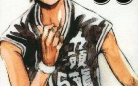 鸭子的天空中的篮球精神与挑战，鸭子的天空如何展现篮球精神与面对挑战的勇气？