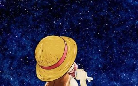 航海王梦想指针最佳自选十连，如何选择最合适的角色？