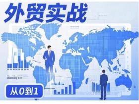 外贸小白如何选择外贸平台进行操作，外贸小白选择外贸平台的注意事项与策略