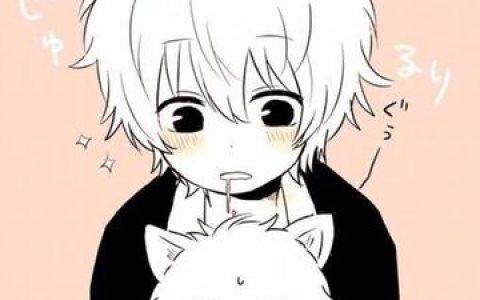 银魂全集解说一口气看完完结完结版银魂解说，一次看完银魂全集的最佳解说