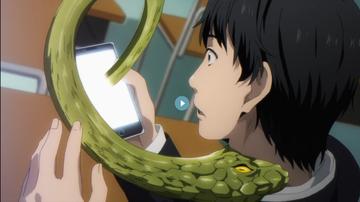 达尔文游戏漫画结局最终对决与剧情大揭秘，达尔文游戏漫画大结局解析角色命运与结局走向