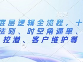 外贸小白如何选公司,外贸小白选择合适的外贸公司指南