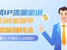 男粉私域变现玩法怎么做,男粉私域变现的完整实施步骤