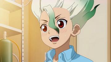 石纪元第一季到第四季的连续性，分析石纪元从第一季到第四季的剧情连续性与发展