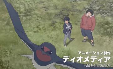 鸭子的天空男主角与队友的默契配合，鸭子的天空男主角与队友之间的默契配合与战术应用