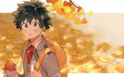 我的英雄学院游戏如何设置中文，调整语言界面的操作指南