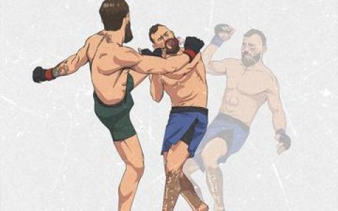 格斗实况动漫有几集，深入了解《格斗实况》动漫的集数及每集内容