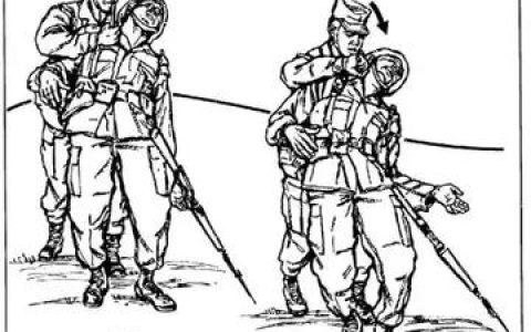 格斗实况鸡哥特别篇踢坦克，鸡哥踢坦克的剧情背景与精彩分析