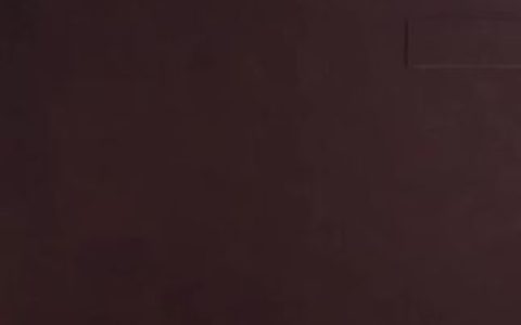 斗鱼萌七线下活动，了解萌七线下活动的精彩内容与粉丝互动